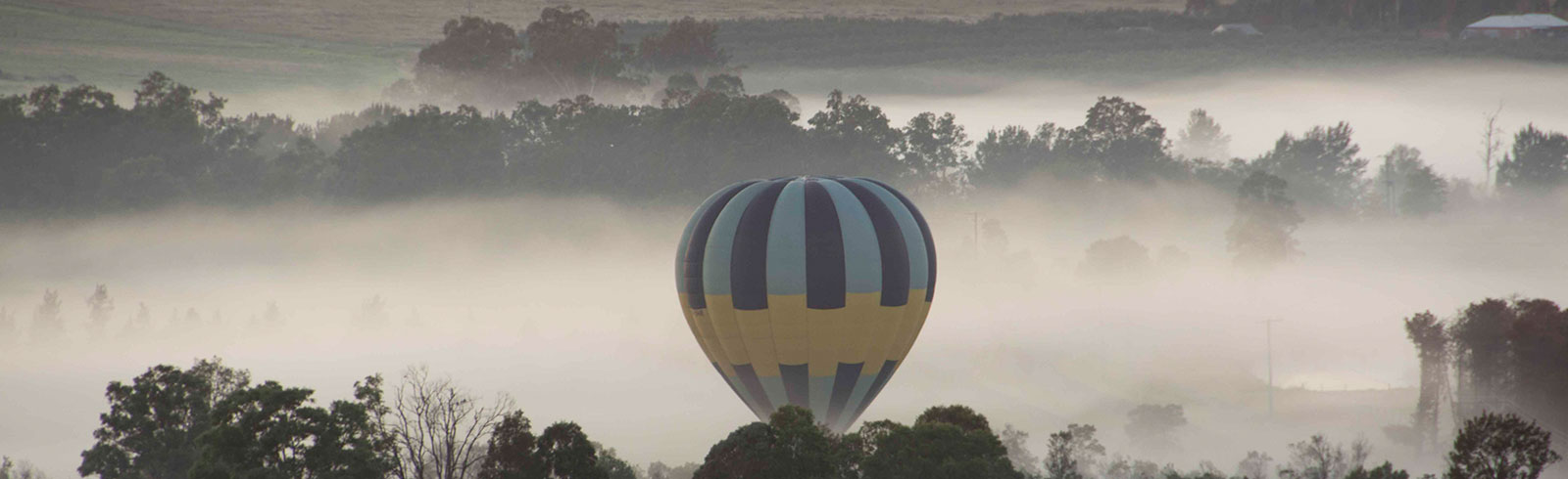 Tiger Balloon Safaris