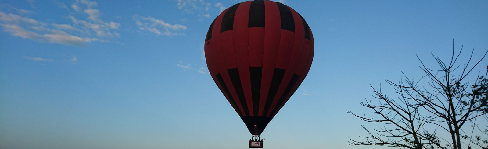 Tiger Balloon Safaris