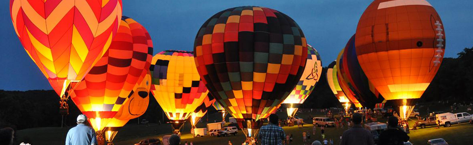 Tiger Balloon Safaris